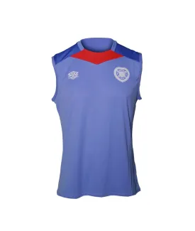 24/25 Sleeveless Training Jersey (Blue)